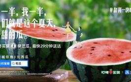 娱乐吃瓜酱 文案,揭秘娱乐圈那些不为人知的幕后故事